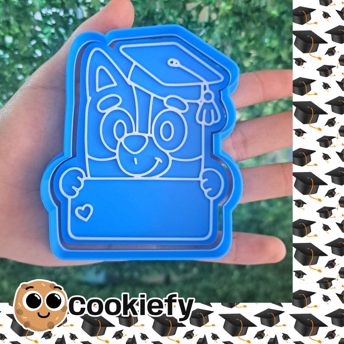 Bluey Graduada con Letrero