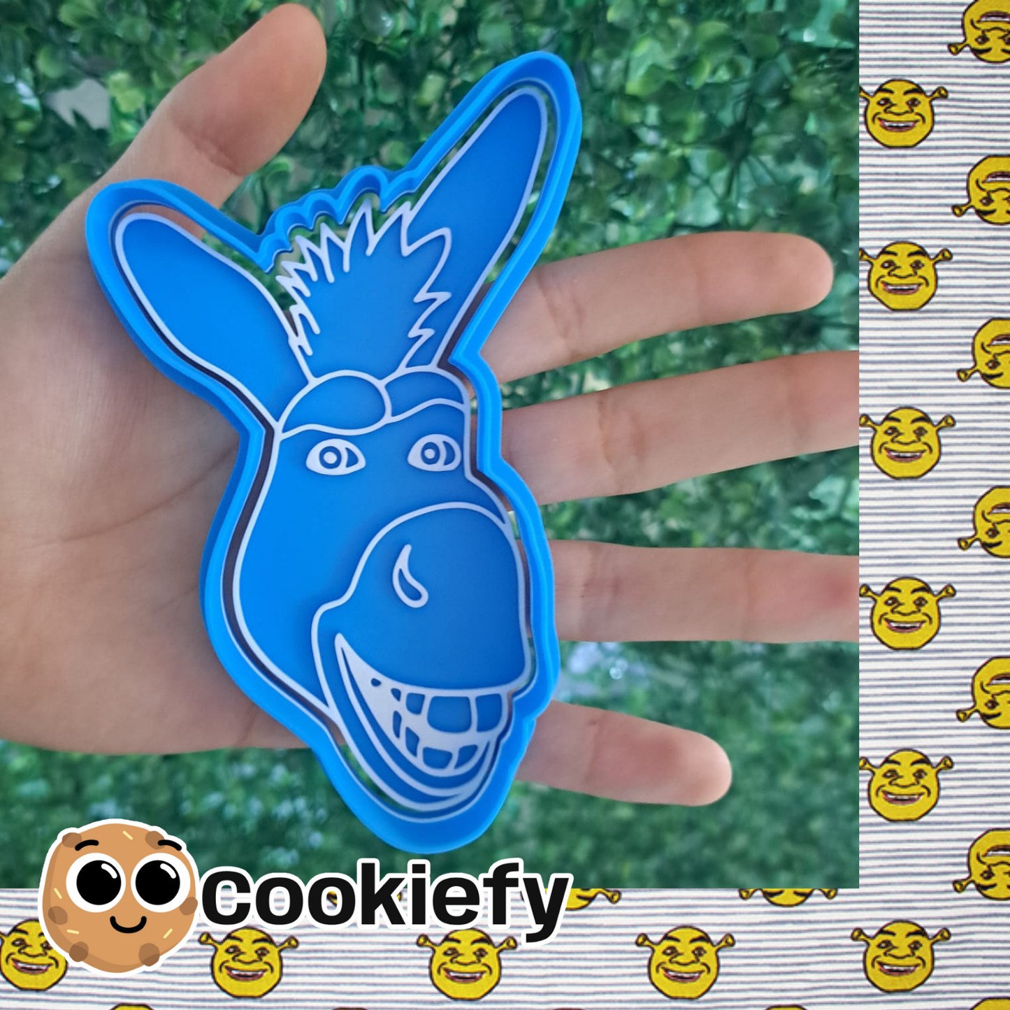 Burro